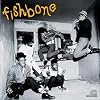 Fishbone