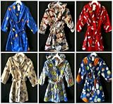 Boys 4-7 Print Polar Fleece Robe by Precious Creations