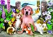 Good Companions 500pc Jigsaw Puzzle by Howard Robinson