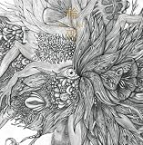 輪郭(初回生産限定盤)(DVD付)