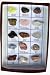 Rocks & Minerals of the US Introductory Collection 15 pcs.