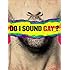 Do I Sound Gay?