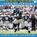 Carolina Panthers 2010 Wall Calendar