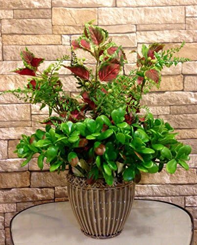 Silk Coleus and Jade Plants in Ceramic Container, Office Home decor indoor plant, Handcrafted at theforalmart