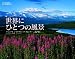 カレンダー2011 世界にひとつの風景の商品写真