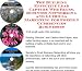 Search : The Guerilla Marketing, Building Effective Lead Capture Web Pages, Business Networking for Foreign Currrencies Businesses