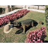 Alli - The Huge Life-size Man Eating Alligator - He's More Than 6' Big!