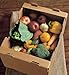Organic Fruit Vegetable Selection Box