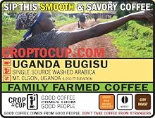 Crop to Cup - Uganda Bugisu Coffee - 10 oz