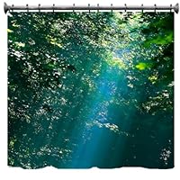 Stream of Light in the Forest Shower Curtain - 69' X 70'