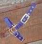 Sheep Halter with Adjustable Strap, 3/4" Red