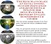 The Rich Man's Make An Extra Income, Success Principles and Accounting & Finance for Self-Tanners & Bronzers On-line Businesses 3 CD Course Image