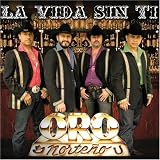 La Vida Sin Ti