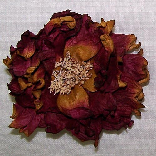 4.5" Yellow Orange Red Dahlia Artificial Silk Flower (2)