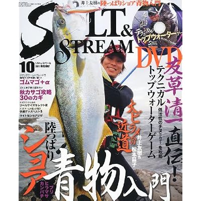 SALT & STREAM (ソルトアンドストリーム) 2011年 10月号 [雑誌]