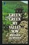 Green, Green My Valley Now