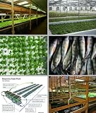 aquaponics system