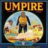 UMPIRE BRAND BASEBALL WINTER HAVEN CITRUS GROWERS ASSOCIATION USA CRATE LABEL PRINT REPRODUCTION