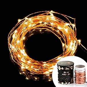 TaoTronics TT-SL032 Indoor and Outdoor Led String Lights Waterproof 100 LED Warm White Color on Copper Wire 33ft LED Starry Light with CE certified 5v Power Adapter For Christmas Wedding and Party(Both Led light and Adapter are WaterProof)