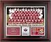 1994 San Francisco 49ers Framed Super Bowl XXIX Team Photo with Stats