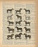 Dictionary Print - Horses, Different Breeds Upcycled Vintage Dictionary Page Poster - Size 8x10