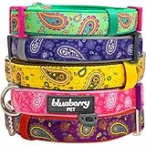 Blueberry Pet Spring Collars 5/8" S Paisley Flower Print Inspired Ultimate Emerald Green Adjustable Basic Neoprene Padded Dog Collar for Small Dogs