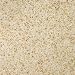 Natural Stone 12" x 12" Granite Tile in Empress Gold