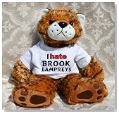 Plush Stuffed Tiger Toy with I Hate Brook Lampreys