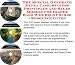 The Special Generate Extra Cash, Success Principles and Sales Models for Diaper Bags Web Biz 3 Course + Resource Guide