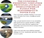 The Incredible Promotion, Godfather Principles and Sales Models for Solar Panels Web Businesses 3 CD Power Pack