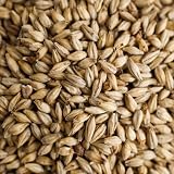 Gambrinus Honey Malt Brewing Malt Whole Grain 1lb Bag by Gambrinus Best Price