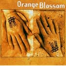 Orange Blossom