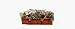 Woodstream #F2436-B Black Flower Box Holder