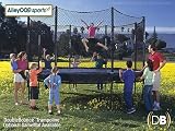 14ft Trampoline Set Alley Oop Double Bounce