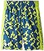 Under Armour Little Boys' Eliminator Short 5