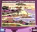 HOMETOWN COLLECTION Lone Cypress 1000 Piece Puzzle