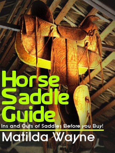 Horse Saddle Guide - Ins and Outs of Saddles Before you Buy!