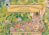Cottontail at Clover Crescent (Smithsonian's Backyard) (Smithsonian's Backyard)