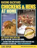 Raising Backyard Chickens & Hens at Home; The Ultimate How To Gudie: Raising Backyard Chickens, Raising Chickens for Meat and Raising Free Range Chickens