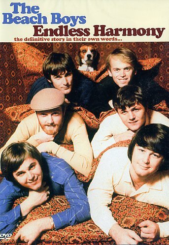 BEACH BOYS : ENDLESS HARMO DVD