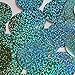 Round Flat Sequin 40mm Light Sapphire Blue Hologram Glitter Sparkle. Couture Paillettes. Made in USA