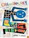 Criminology: The Core