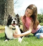 Petsafe PDBC-300 Deluxe No-Bark Control Collar with Sound and Vibration Sensitivity