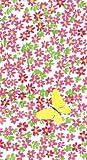 Entertaining with Caspari Butterfly Garden Paper Guest Towel, 15-Count, Pink