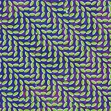 Merriweather Post Pavilion [VINYL]