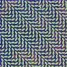 Image of album by Animal Collective