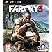 Far Cry 3 (PS3)