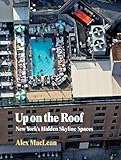 Up on the Roof: New York's Hidden Skyline Spaces