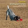 German Shorthaired Pointers 2009 Wall Calendar