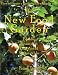 Green Man Publishing 